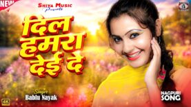 दिल हमरा देई दे || Dil Hamra Dei De ||